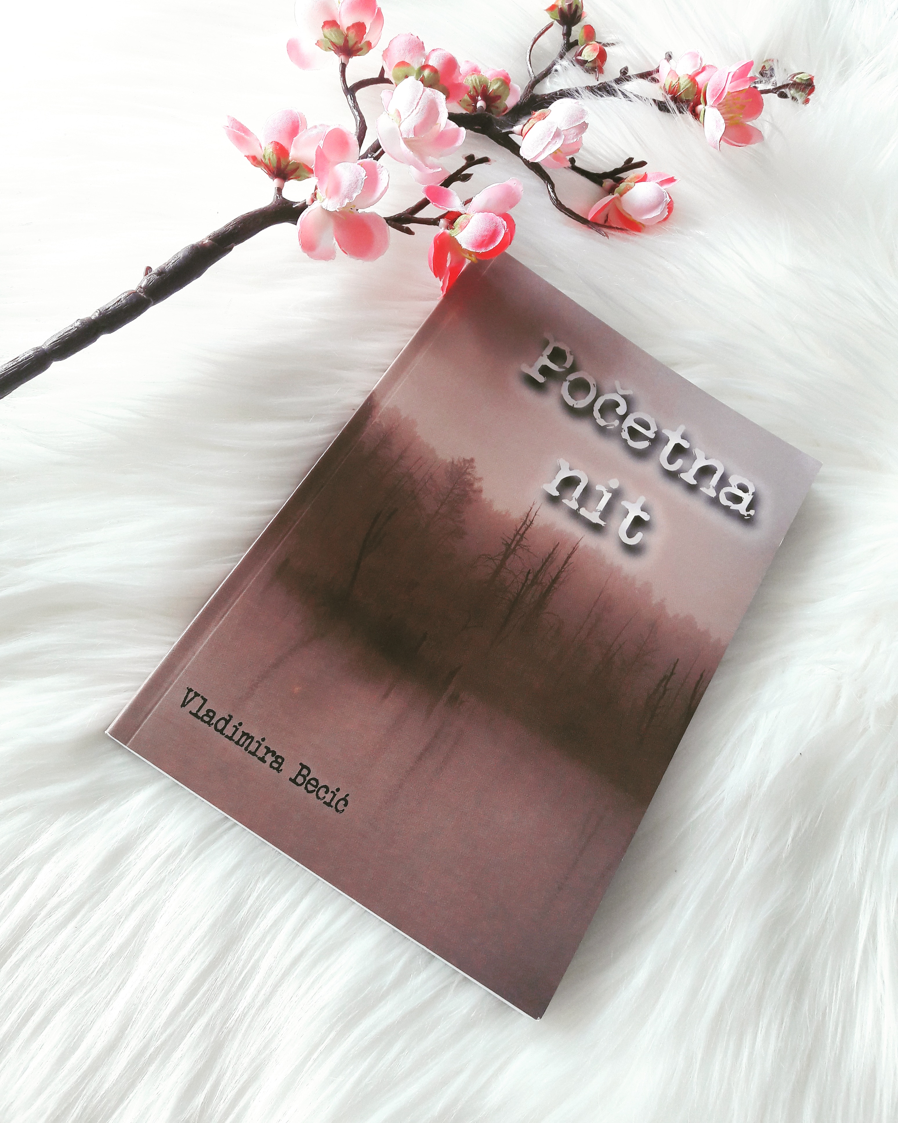 IMG_20190304_104710_053