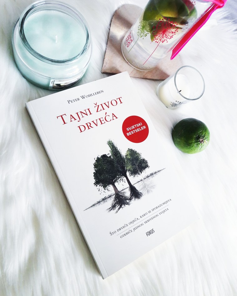 IMG_20190518_102740_421